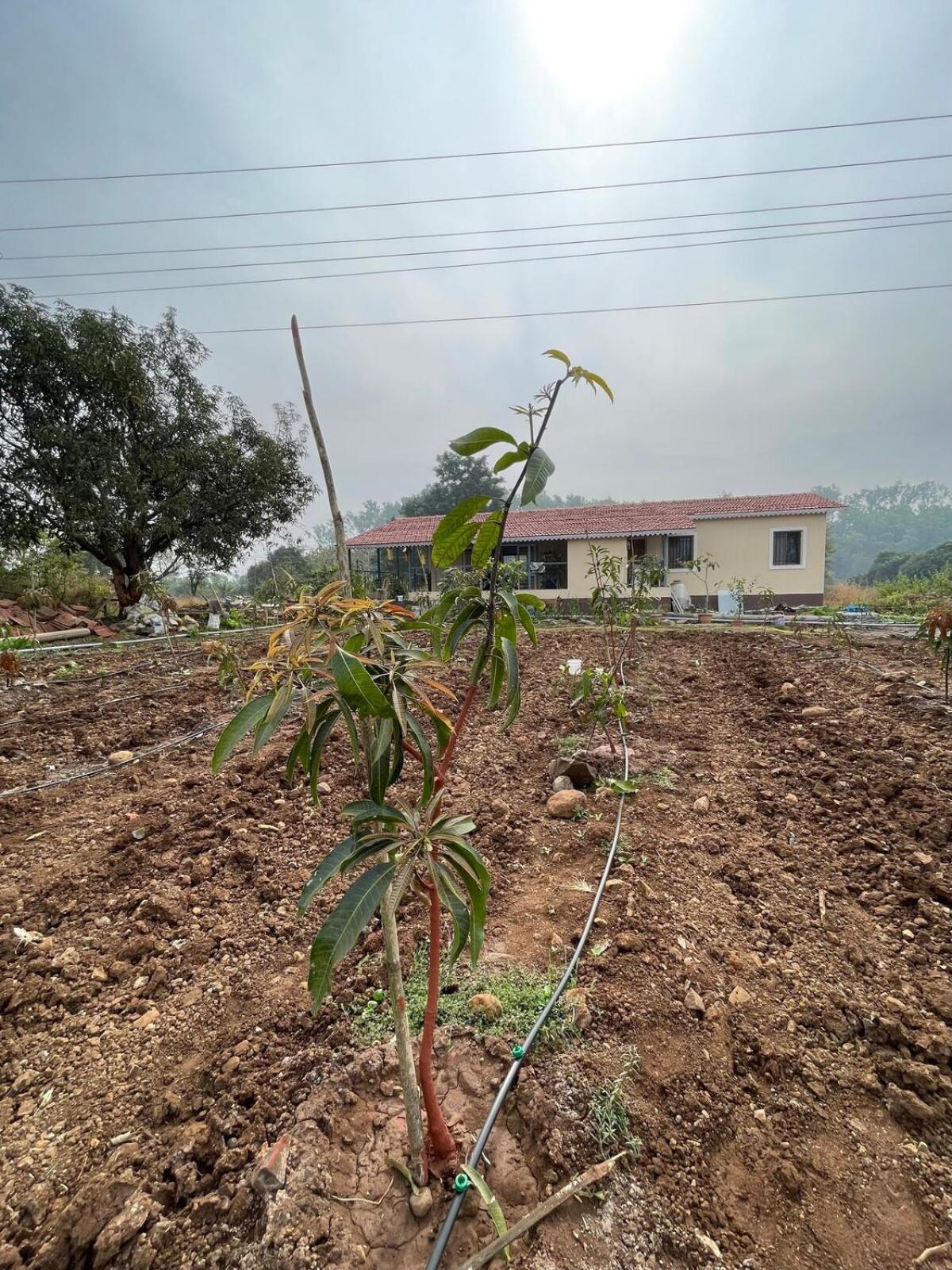 Vila Aj Farms Welhe Exteriér fotografie